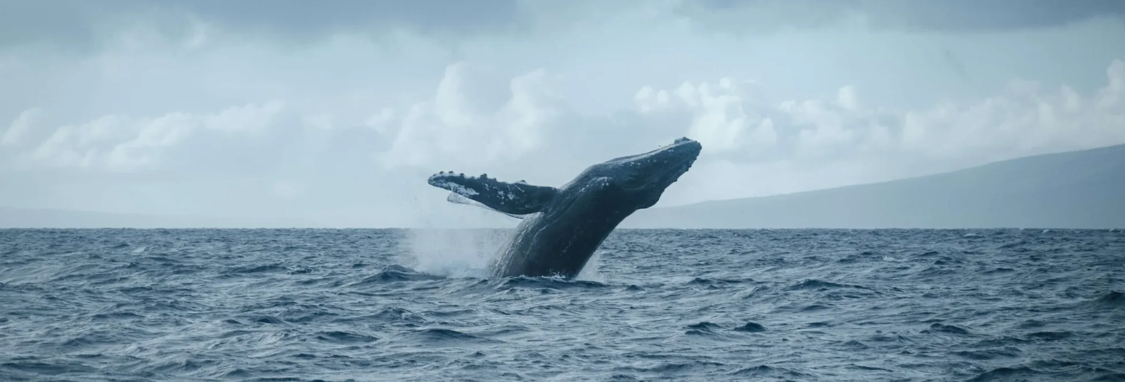 How American Marine Science and Conservation Support National Security 